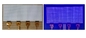 12.3 дюймовый LCD/LED модуль AM Местное затемнение