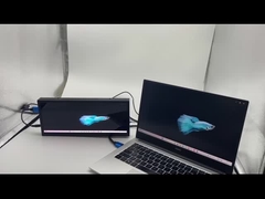 12.3 дюймовый ЖК-модуль с локальным затемнением