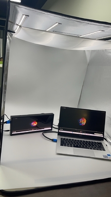 12.3 дюймовый LCD/LED модуль AM Местное затемнение