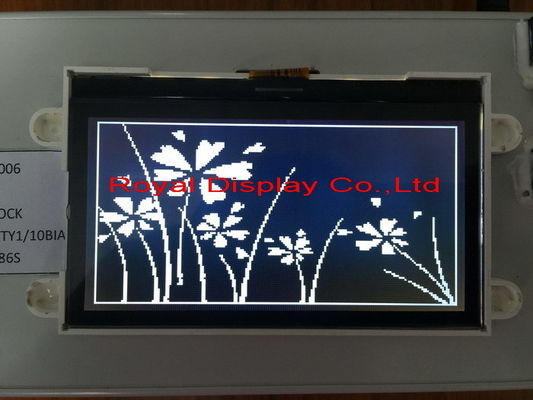 Королевское 192X64 ставит точки дисплей Cog OLED модуля FSTN LCD Mono экрана LCD графический